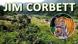 Best Places in Uttarakhand in this image jim corbett national park is shown